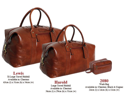 Taška cestovní kožená Ashwood - Harold